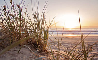 Beach representing collaborative care