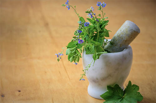 Plant representing medication management